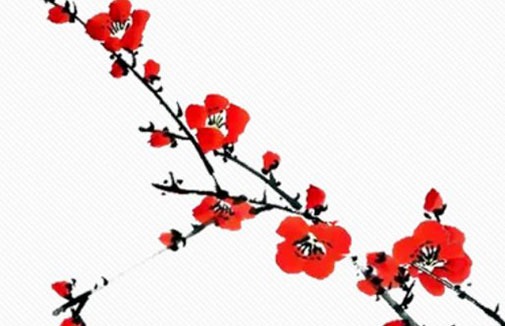 2022年8月12日穿什么颜色衣服有财运