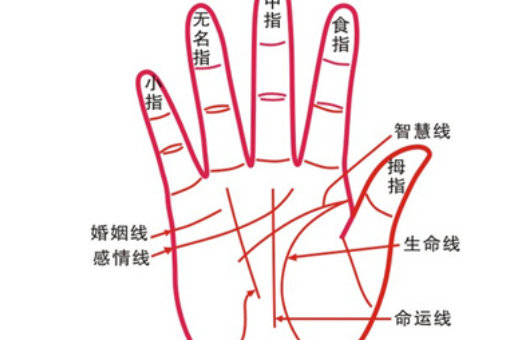 掌纹图解女右手详解 女人右掌手相图解