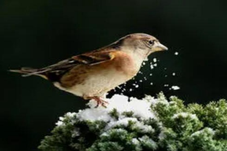 60f1381f8b307.jpg