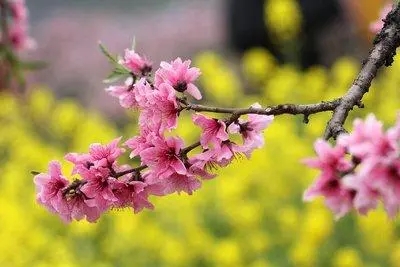 2022年农历四月二十是什么日子