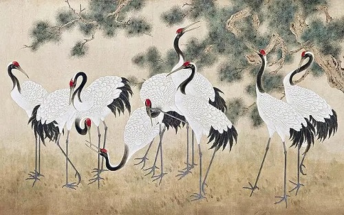 蝙蝠入屋是不吉利的吗