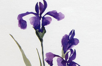 手上有断掌纹的人命运如何