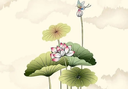 2022年5月30日冲什么生肖