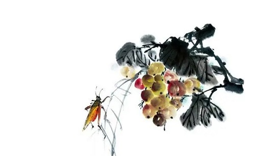属蛇2022年桃花运如何