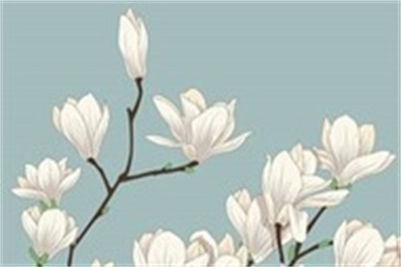 2022年夏至领结婚证好不好