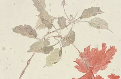 梦见挤公交车有什么预兆吗