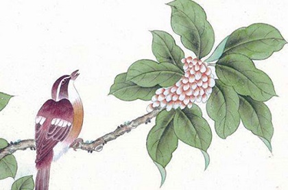 1994年属什么生肖