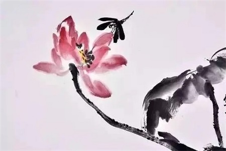 2022年双鱼座全年运势如何