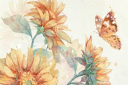 属猪的2023年3月提车好日子