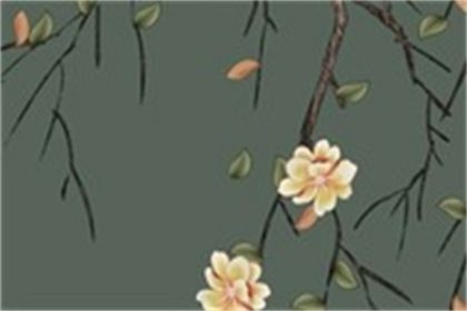 2022年12月4日特吉生肖特吉分析