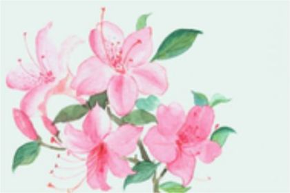 梦见牙齿掉了是什么征兆