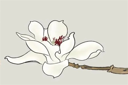 2022年农历六月十九出生的宝宝命运好不好