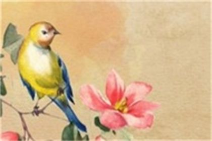 2022年7月17日是什么日子好不好
