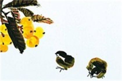 2022年农历六月二十九适合结婚吗