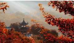 2023年7月25日黄历时辰吉凶