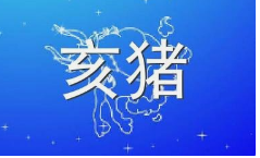 2023年7月31日生肖猪运势