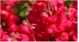 2023年9月1日天秤座运势