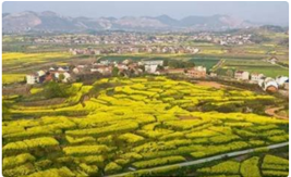 2023年9月15日生肖龙运势