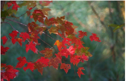 2023年9月21日射手座运势