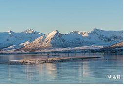 2023年9月26日金牛座运势