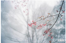 2023年10月8日老黄历