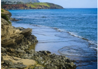 2023年10月9日生肖牛运势