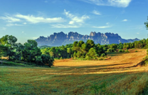 2023年10月13日生肖兔运势