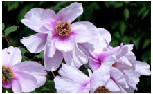 2023年10月25日金牛座运势