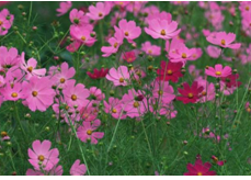 2023年10月28日金牛座运势