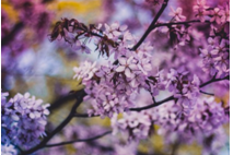 2023年11月13日摩羯座运势