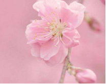 2023年11月17日生肖蛇运势