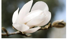 2023年12月1日处女座运势