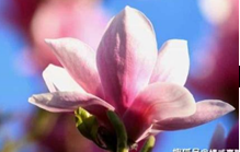 2023年12月11日生肖蛇运势