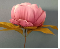 2023年12月23日生肖蛇运势