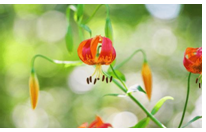 2024年2月7日摩羯座运势