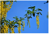 2024年3月9日天蝎座运势