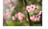 2024年5月14日天蝎座运势