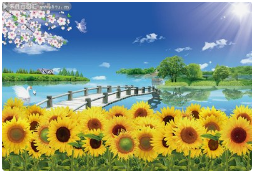 2024年5月22日生肖狗运势